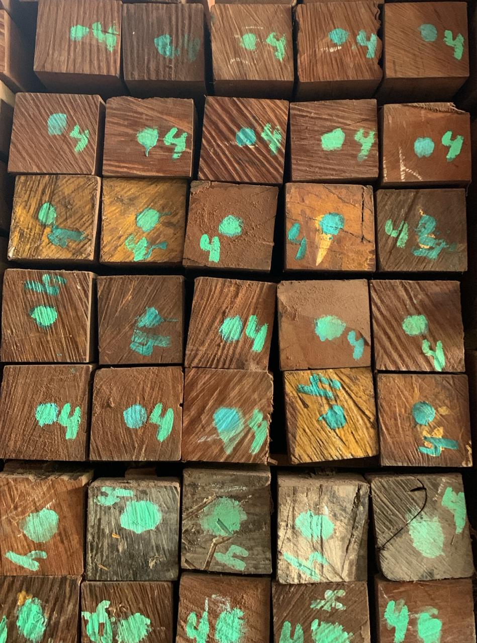 KAYU SAMARINDA BASAH UK.400X12X12